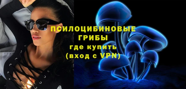 дурь Алексин
