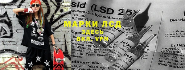 твердый Магас