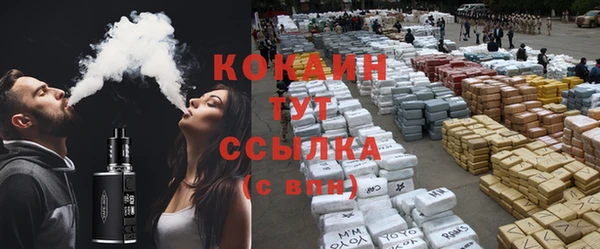 твердый Магас