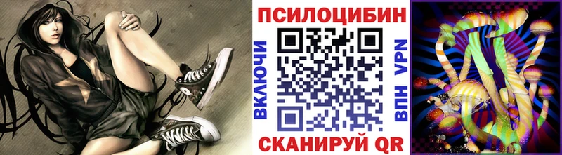 Галлюциногенные грибы Psilocybine cubensis  Йошкар-Ола 